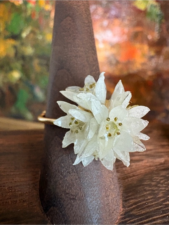 Jewelry - REAL Wild Buckwheat in Resin Adjustable Ring